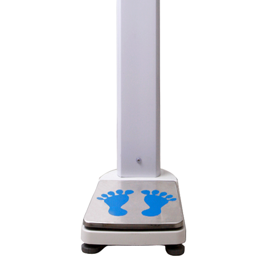 ������������������